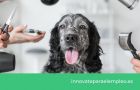 7 Consejos para PREPARAR una PRIMERA entrevista de trabajo con éxito